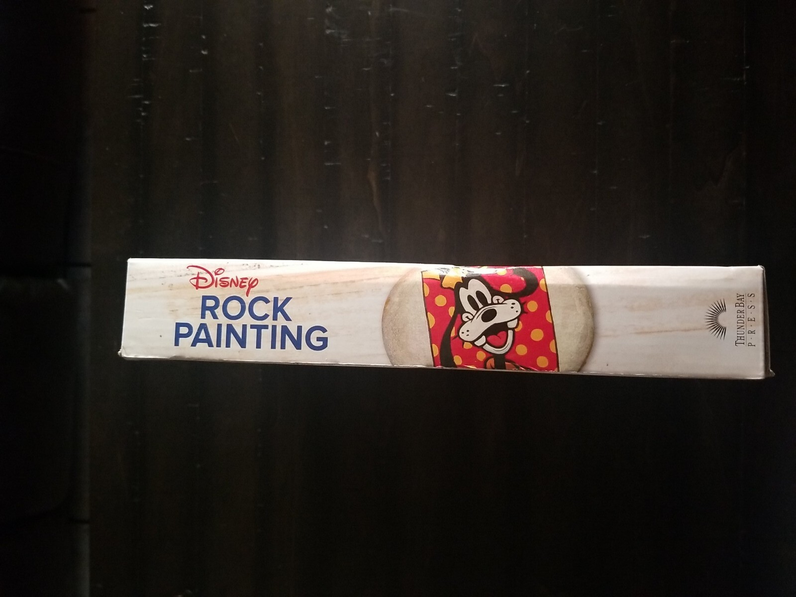 Disney Rock Painting (Mixed media product) Multicolor