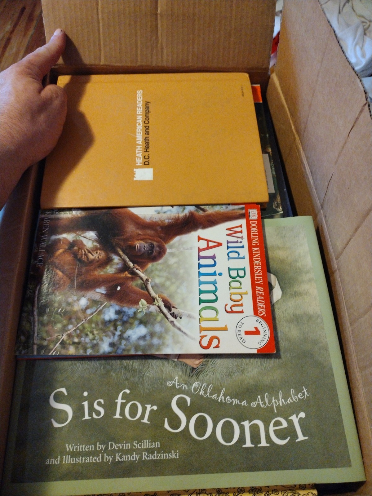 Bulk/Huge Lot of 50 Children’s Kids Chapter Books – Random – Free Shipping!