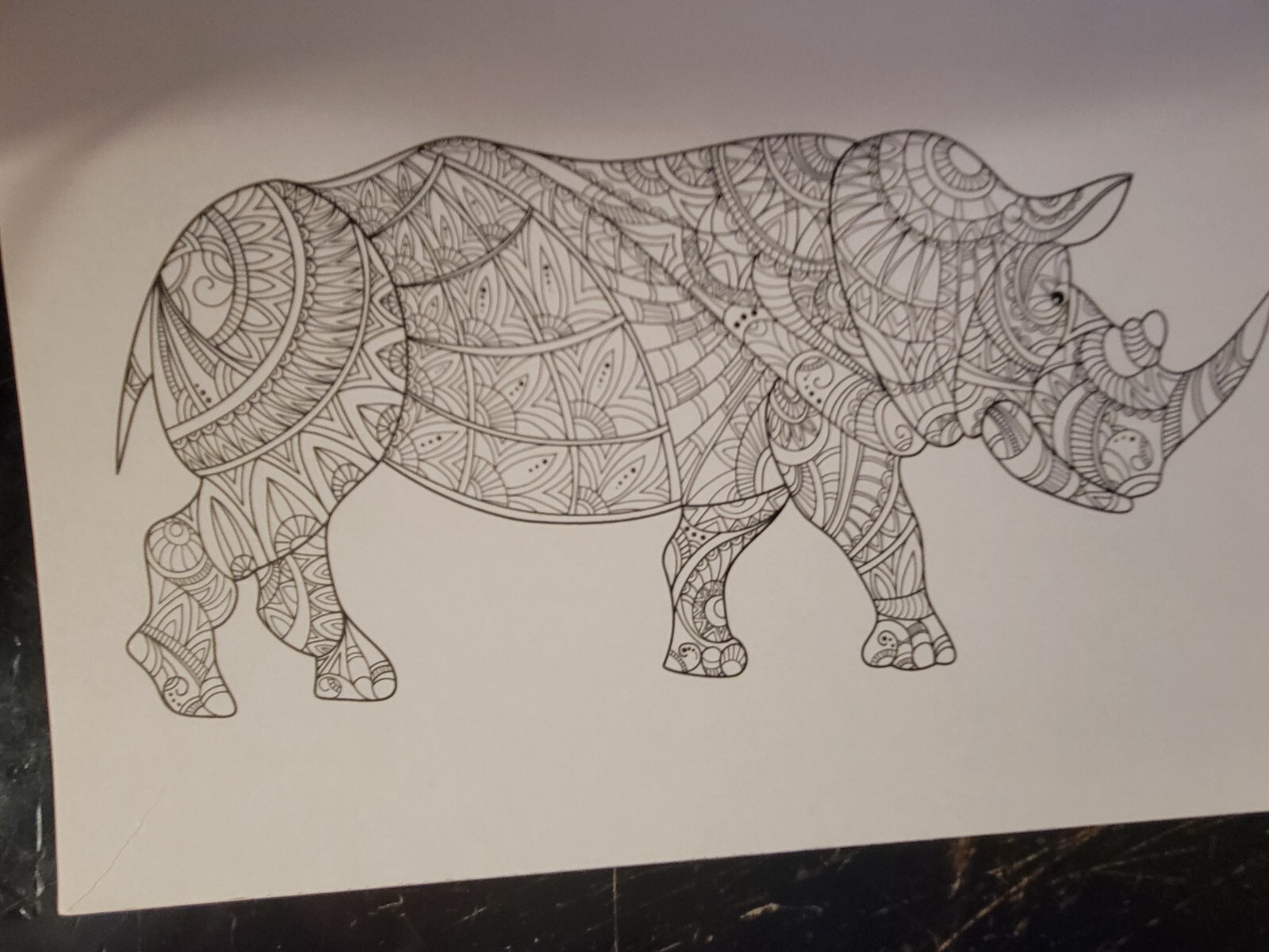 COLORS OF THE WILD Vol. 23 Adult Coloring Book With 47 Prints Ready To Frame!