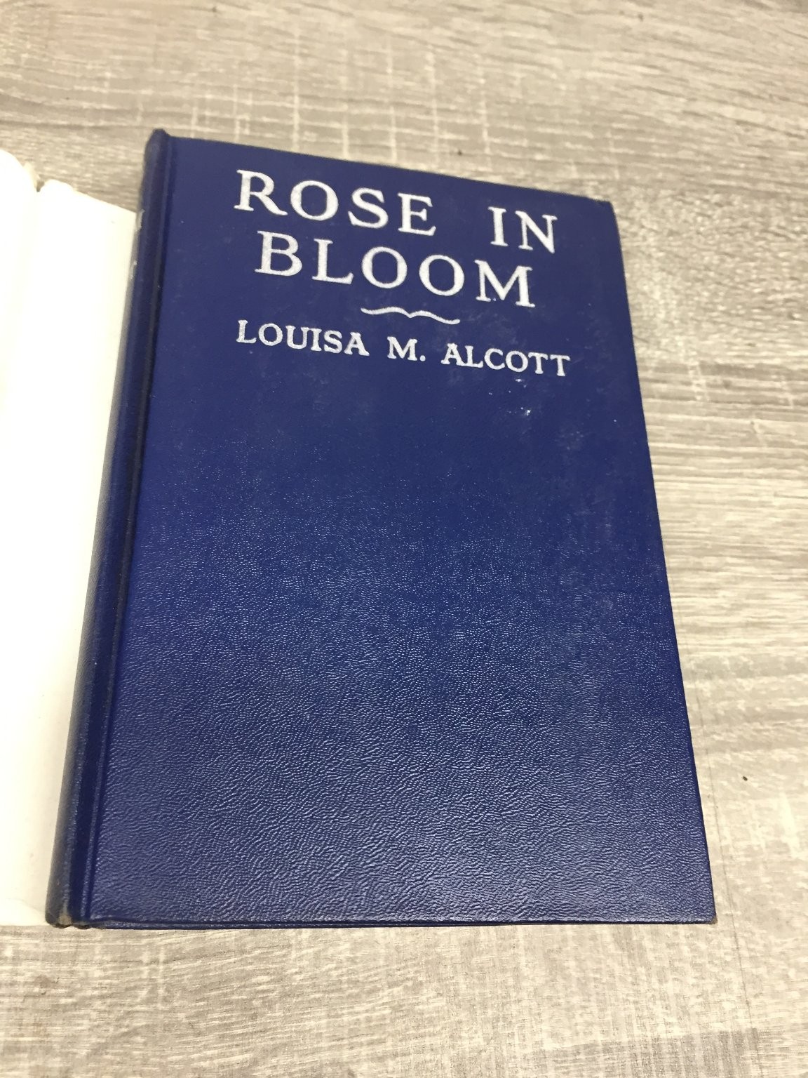 Rose in Bloom Louisa May Alcott 1927 Complete Authorized Edition Grosset Dunlap