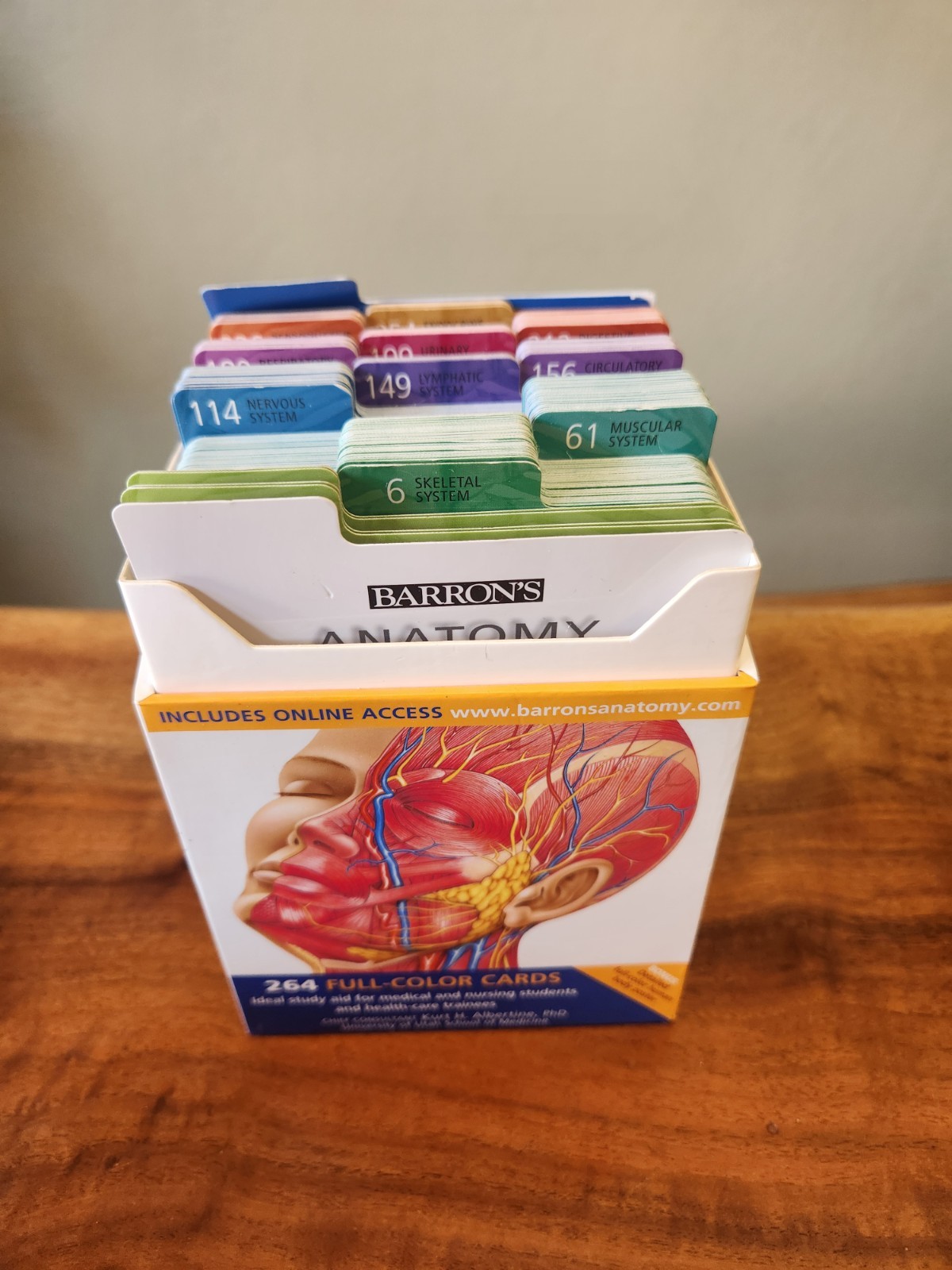 Barron’s Anatomy Flash Cards by Kurt Albertine (2008, Cards,Flash Cards)