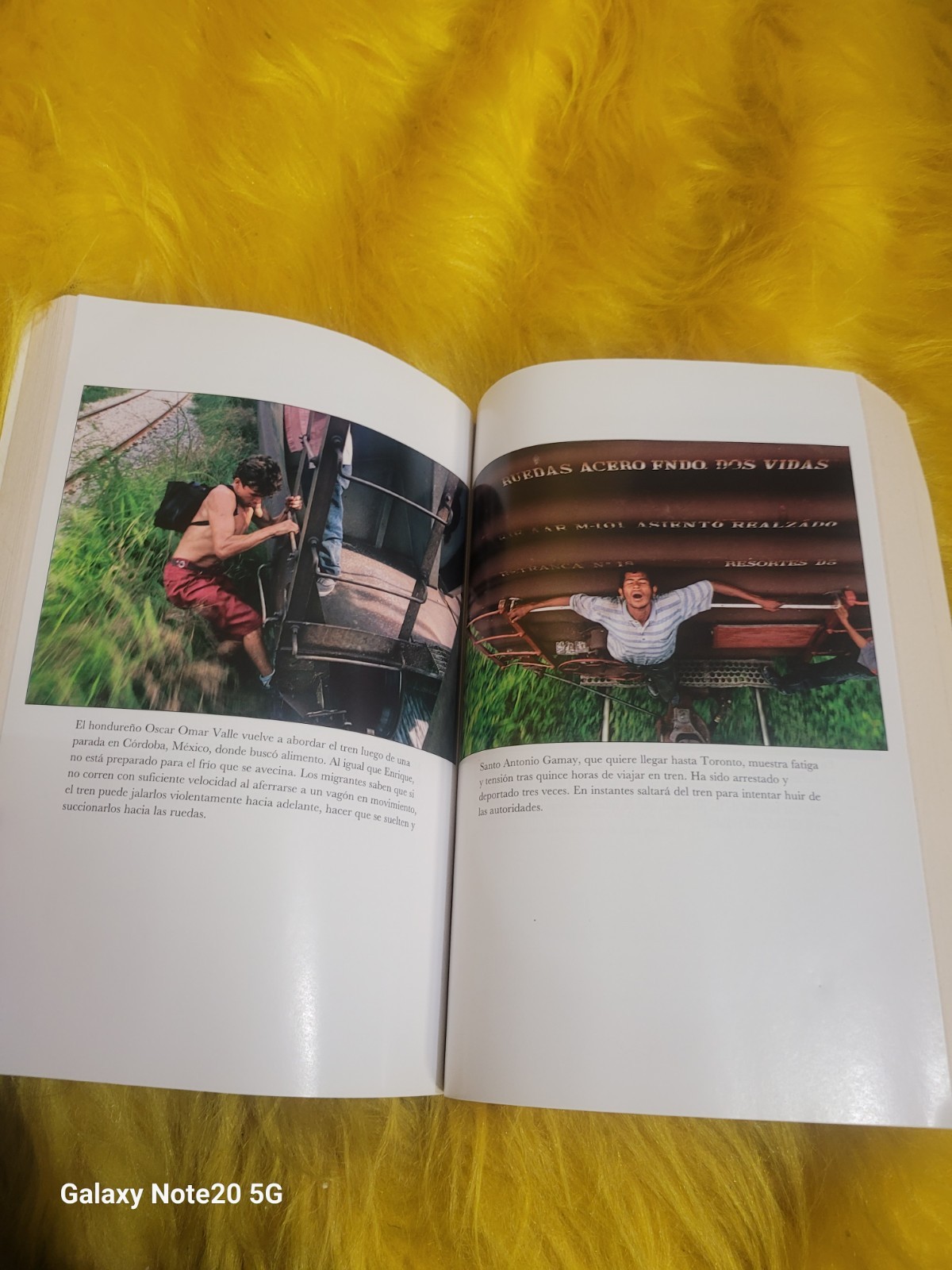 Enrique’s Journey Sonia Nazario 2014