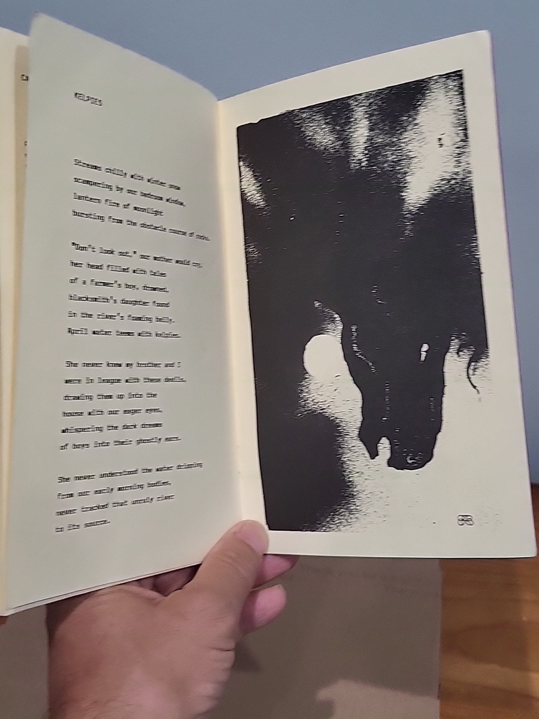 The Devil In The River and Other Poems by John Grey 1990 Night Visions Borkowski