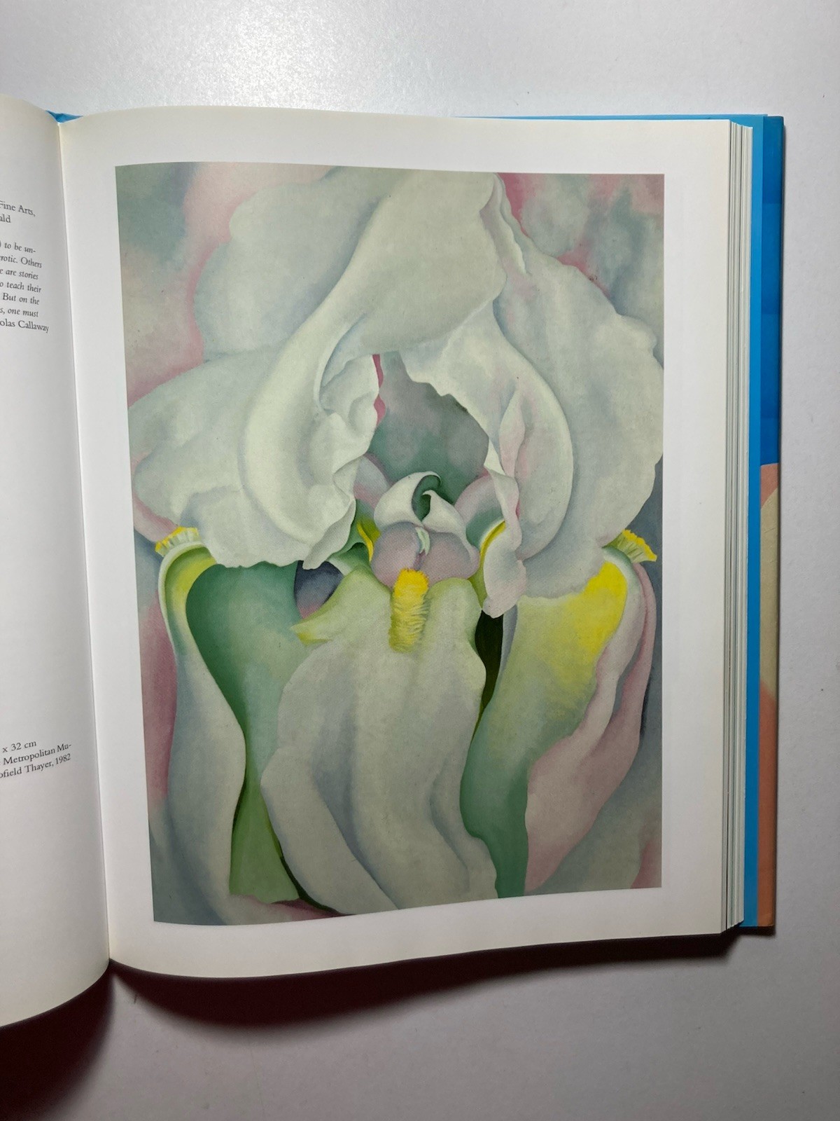 “EROTIC ART” Muthesius & Riemscheider Text by Néret 1998 Hardcover TASCHEN