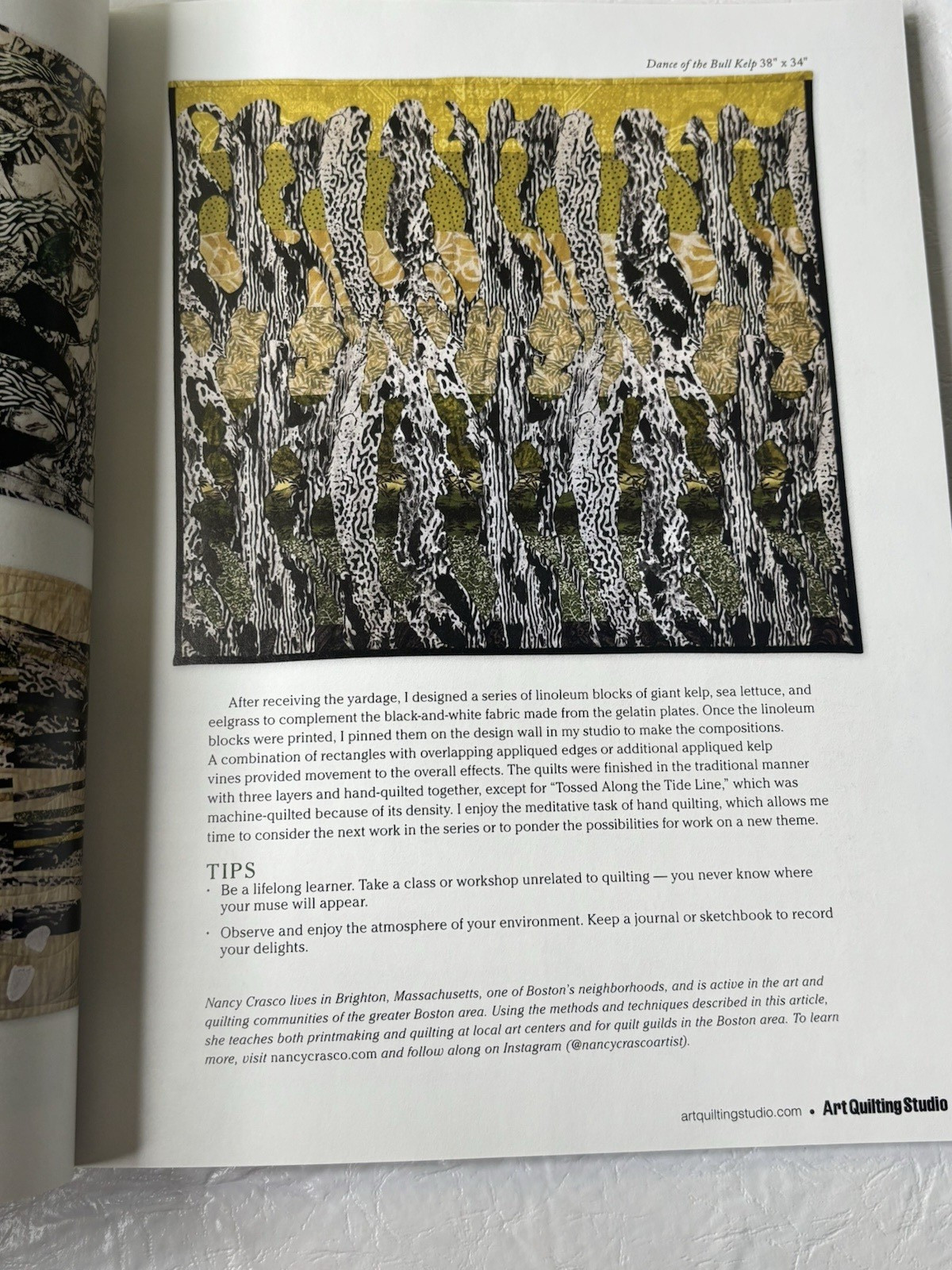 Art Quilting Studio Autumn Sep Oct Nov 2022 Sewing Crafts Fibers Irene Roderick