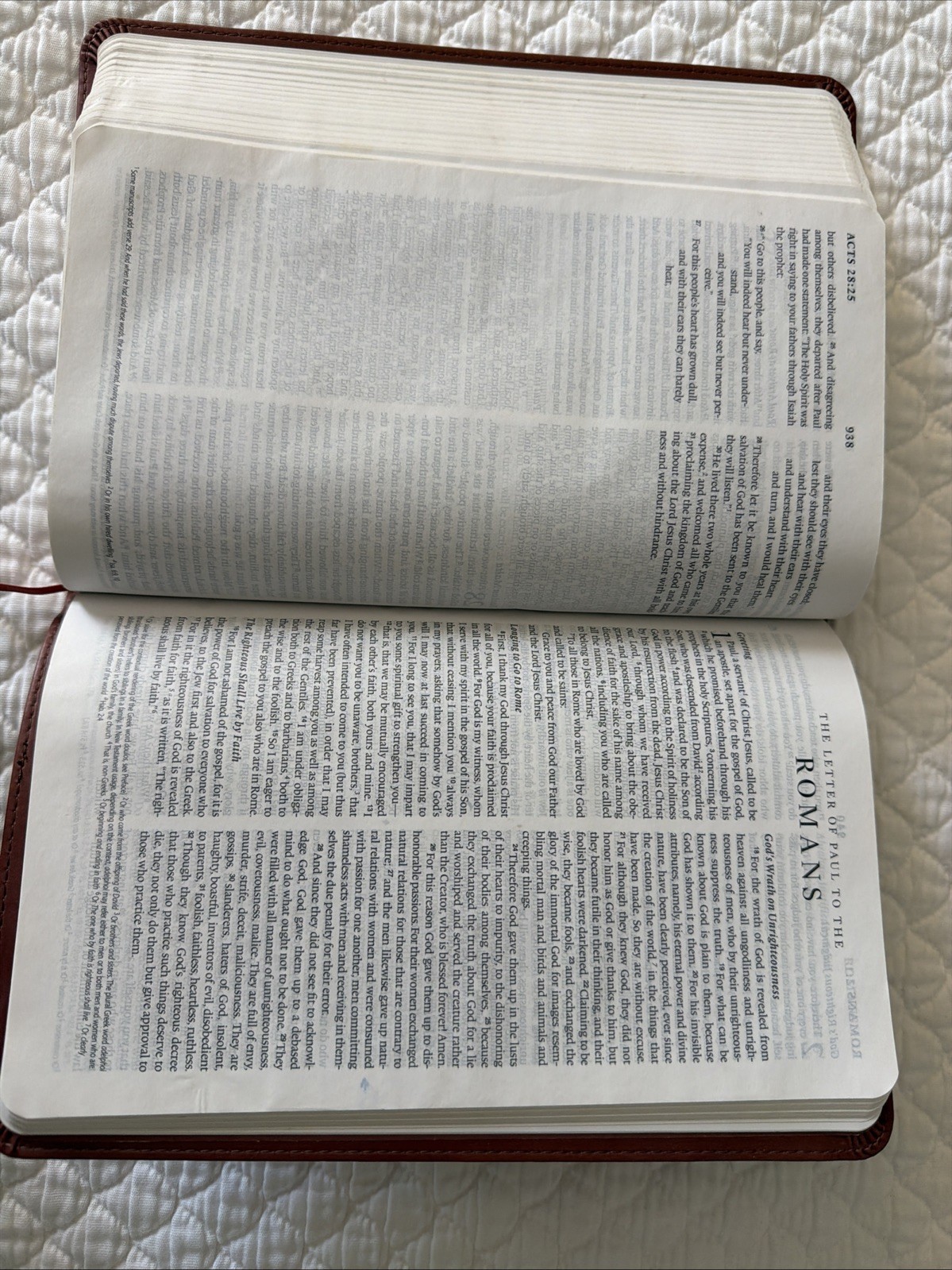 ESV Thinline Bible TruTone Nutmeg Filigree Design Red Letter Text 9781581347210