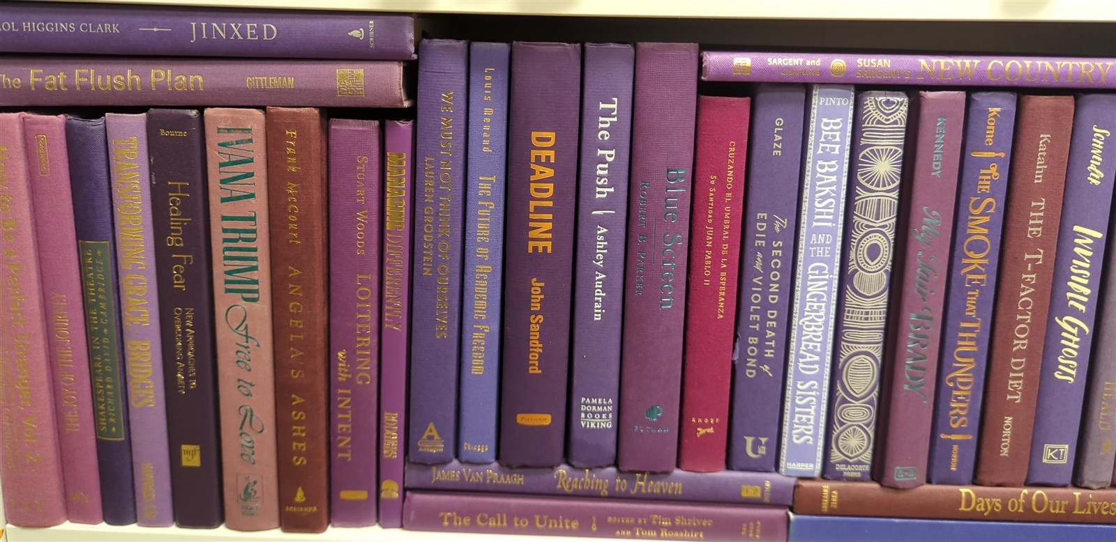 Random Lot – 10 PURPLE Staging, Decor, Prop, Beautiful HC books-lettering varies