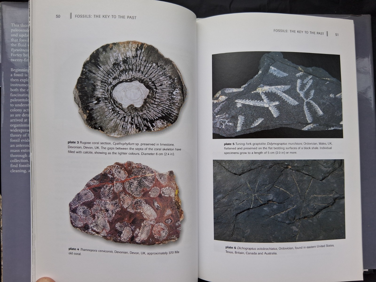 Fossils: The Key to the Past, hardcover book, by Richard Fortey