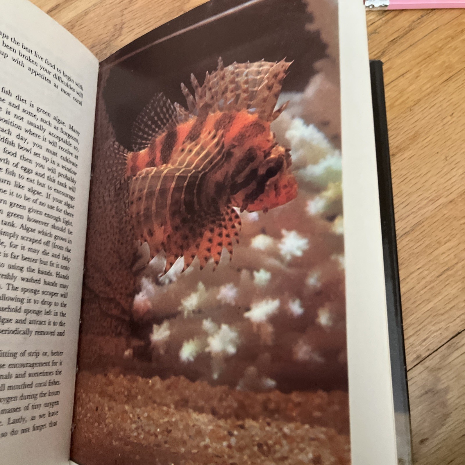 Natural History ,CORAL FISHES by T RAVENSDALE , 1967 , HC/DJ Book