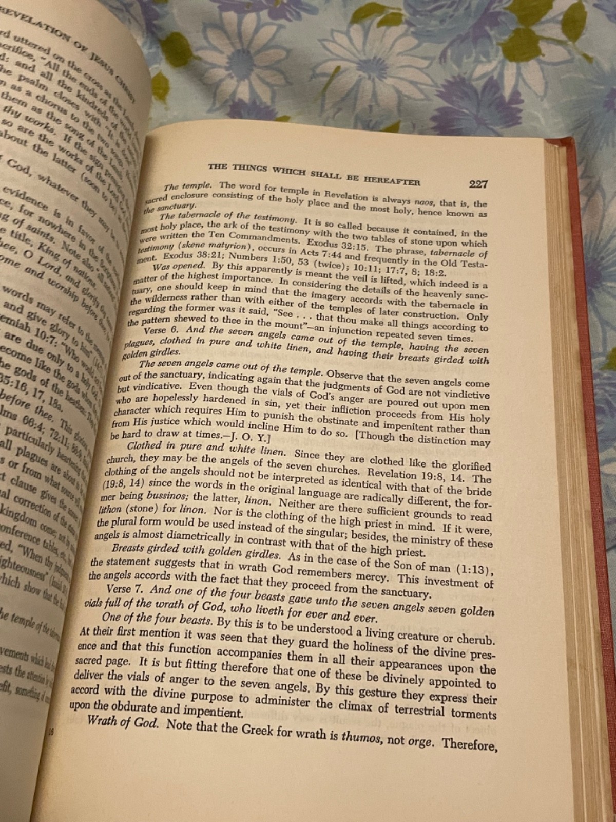 BOOK A Revelation of Jesus Christ J B Smith Commentary HC Herald Press 1962