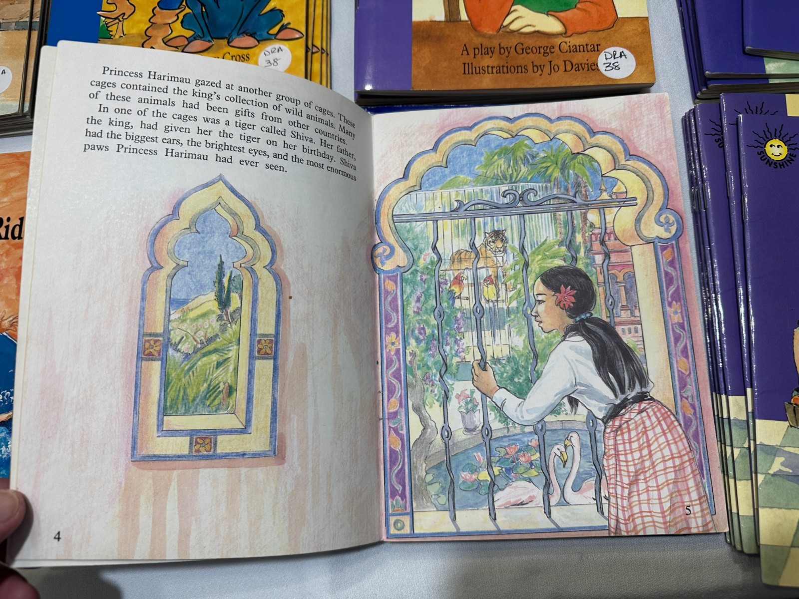 The Wright Group Fluency Lot 14 Sunshine Reader Books Teacher Homeschool