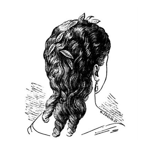 1886 Hairstyle Book (Vintage Victorian Hairstyling)