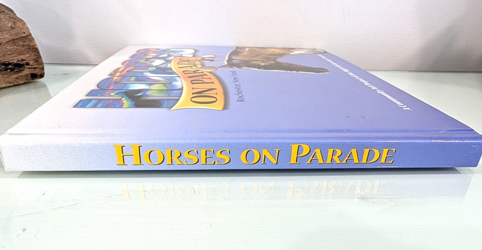 Horses On Parade Rochester NY Colorful Hardback Book Art Project Coffee Table