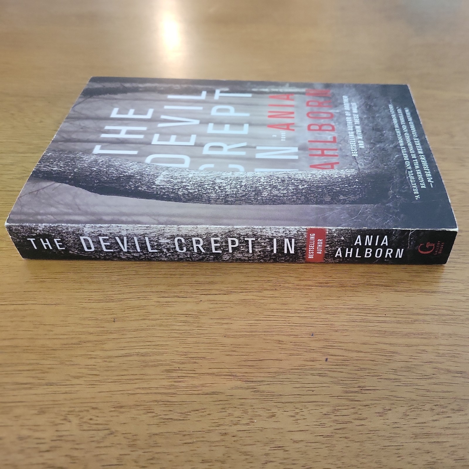 THE DEVIL CREPT IN – ANIA AHLBORN – Gallery Books Trade Paperback 2017