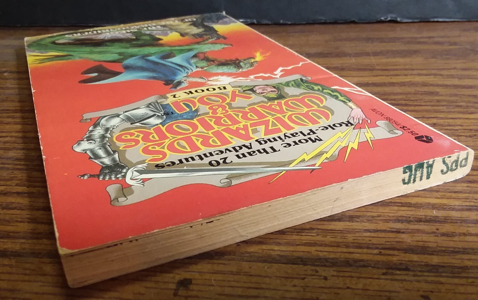 Wizards Warriors and You Book 2 – Siege of the Dragonriders – Solo Adventure