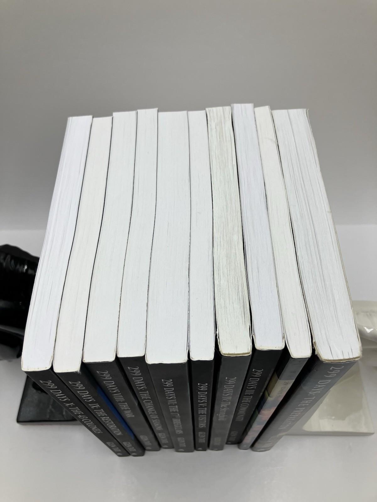 Lot of 10 Glen Tate 299 Days Series Paperbacks Prepper Thrillers Government