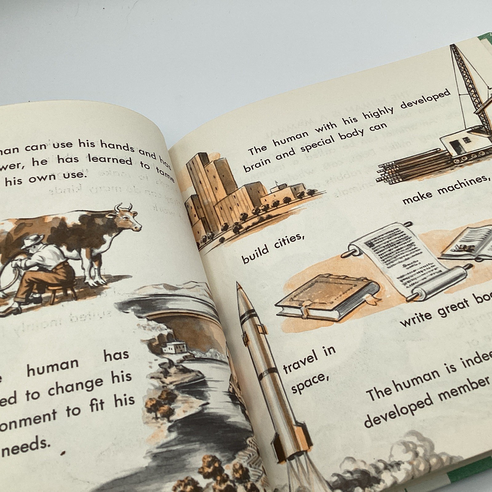 WHAT IS A HUMAN, (what is series) 1964 Benefic Press, by Melvin Alexenberg