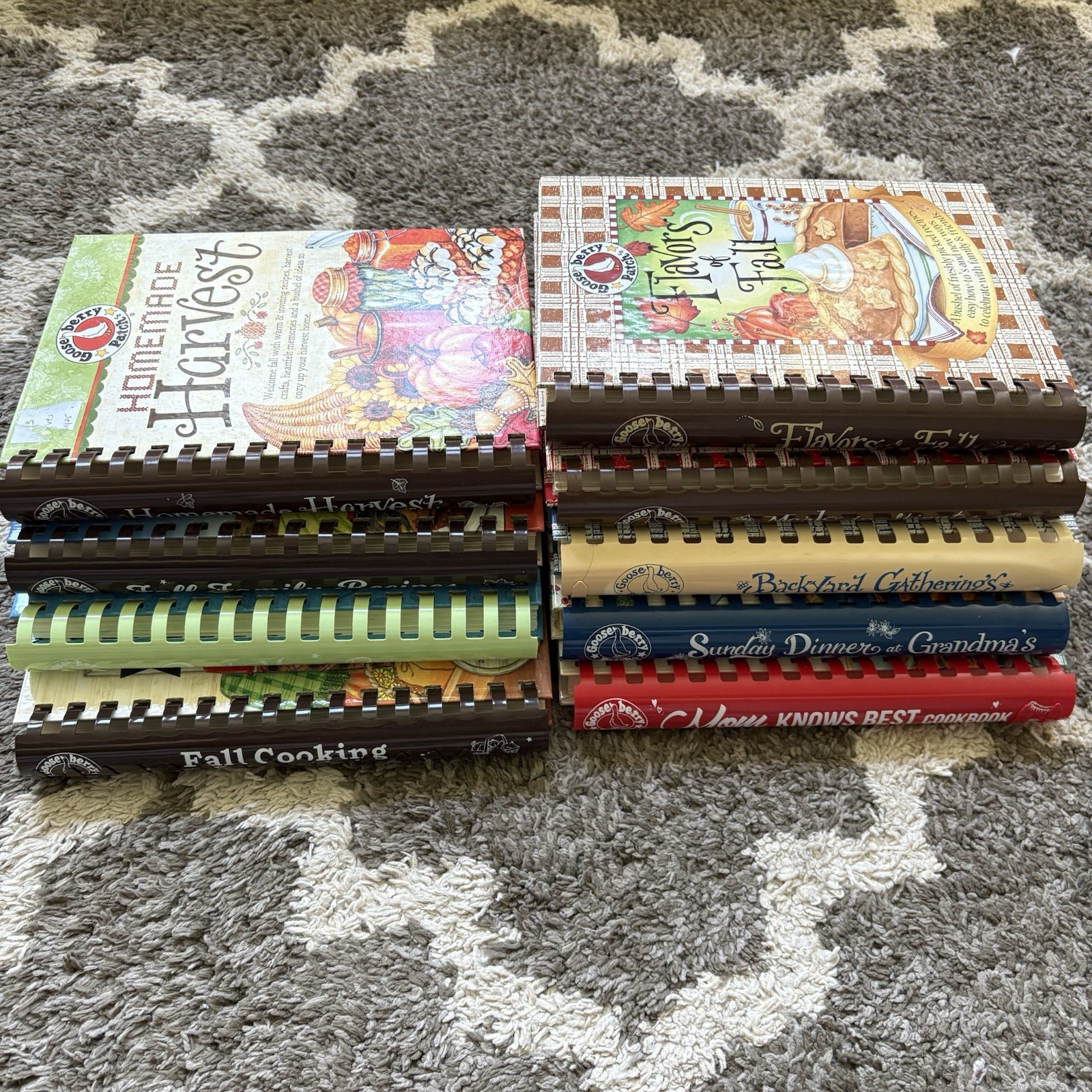 Lot of 10 Goose Berry Patch Cookbooks Fall Harvest Family Recipes Meals