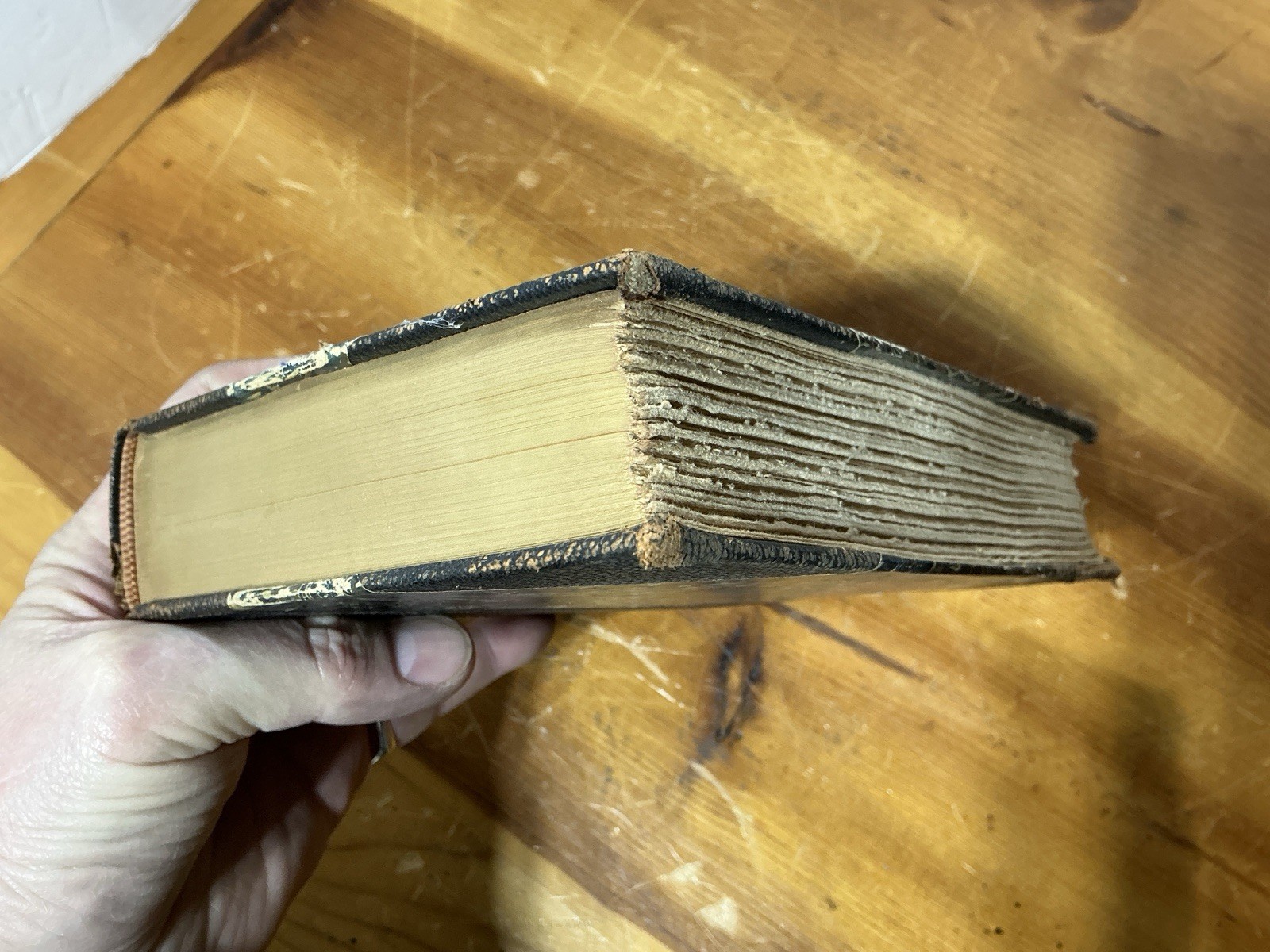 The Works Of Charles Dickens LITTLE DORRIT Leather 1878 Deluxe Edition Jefferson