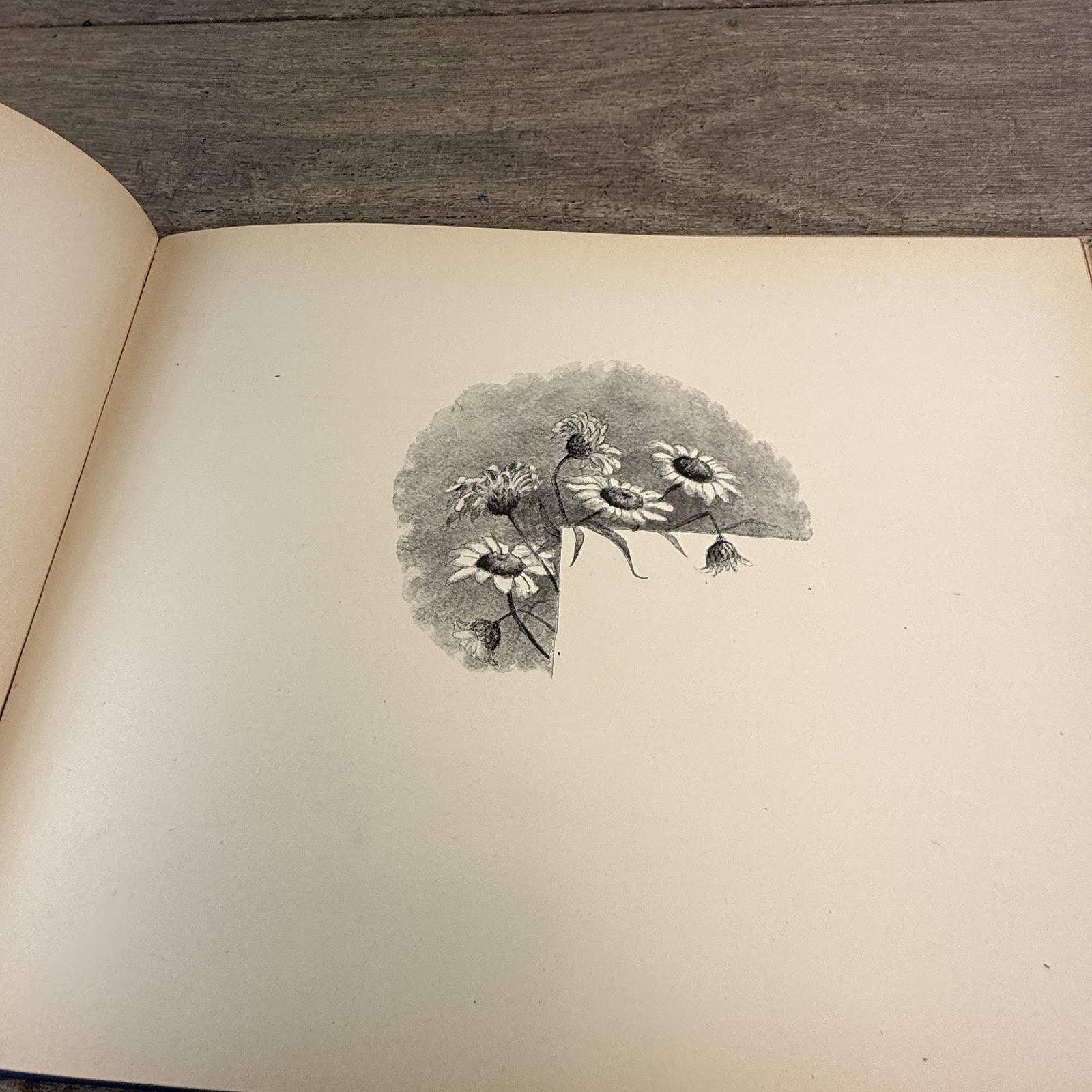 Vintage 1897 Baby’s Kingdom Annie F. Cox Baby Memory Book Hardcover Boston MA