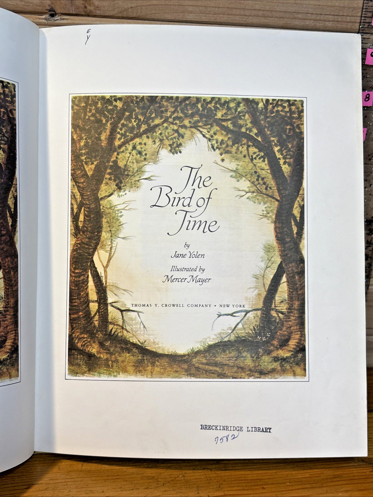 THE BIRD OF TIME Jane Yolen & Mercer Mayer 1971 HB 1st Edition Vintage Childrens