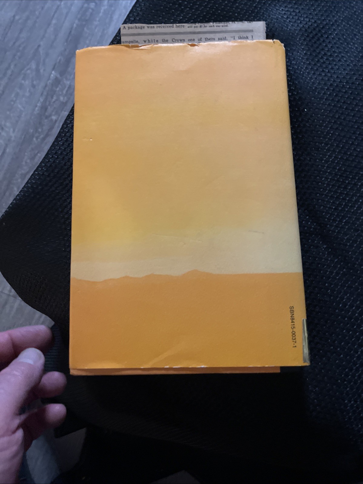 An Owl on Every Post By Sanora Babb RARE 1st Edition HC DJ 1970 Great Condition