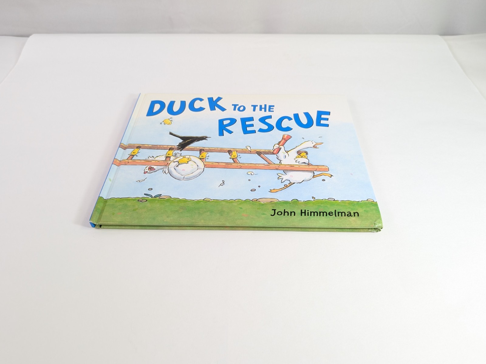 Duck To The Rescue John Himmelman Hardcover Book With Dust Jacket Kids Book