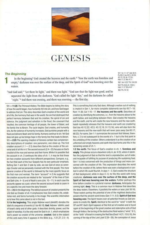 NIV 2011 Study Bible -Chocolate/Caramel – r$79.99- SALE!! SLIGHTLY IMPERFECT