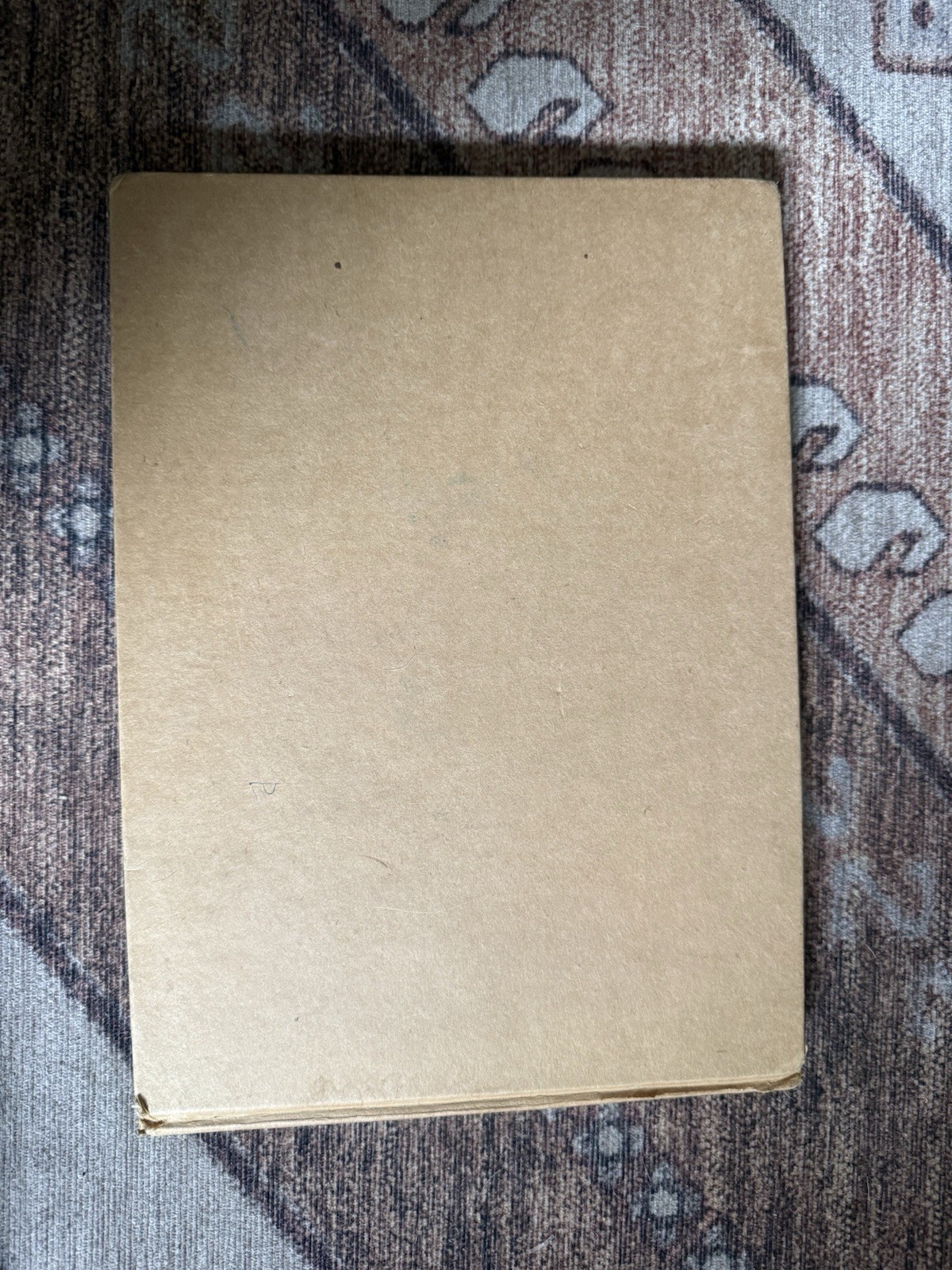 Rare Antique Book What to Draw and How to Draw It E.G. Lutz 1919 Hardcover