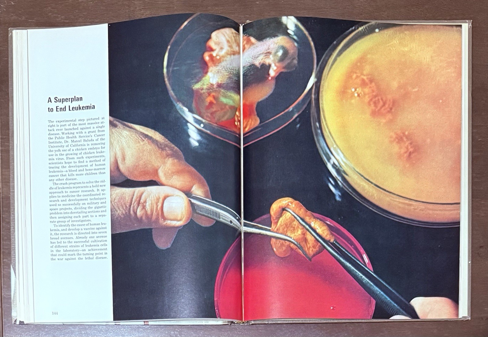 The Physician by Russel V. Lee & Sarel Eimerl, Time Life Science Library. Learn