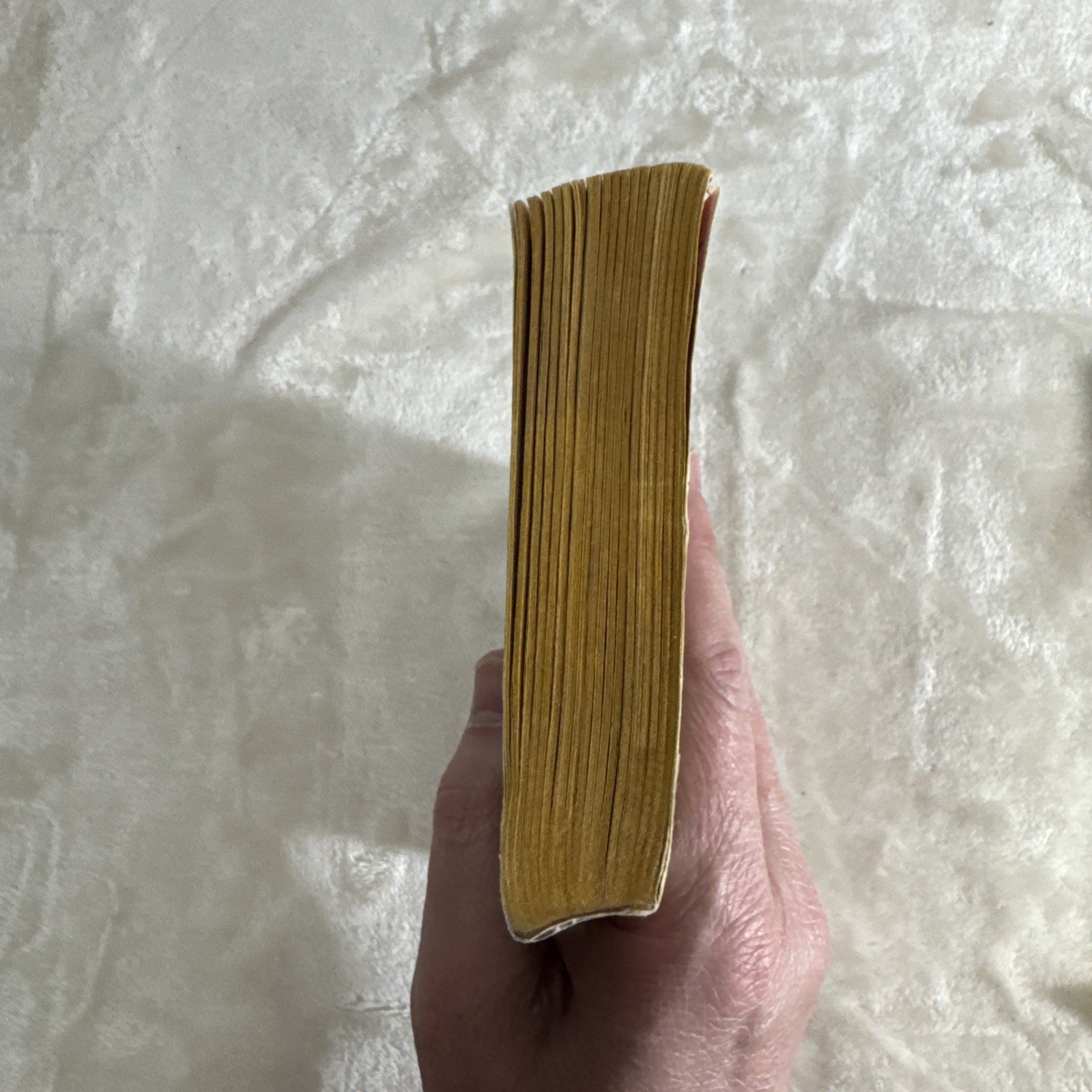 The Wolfen – Whitley Strieber (Paperback, 1979)