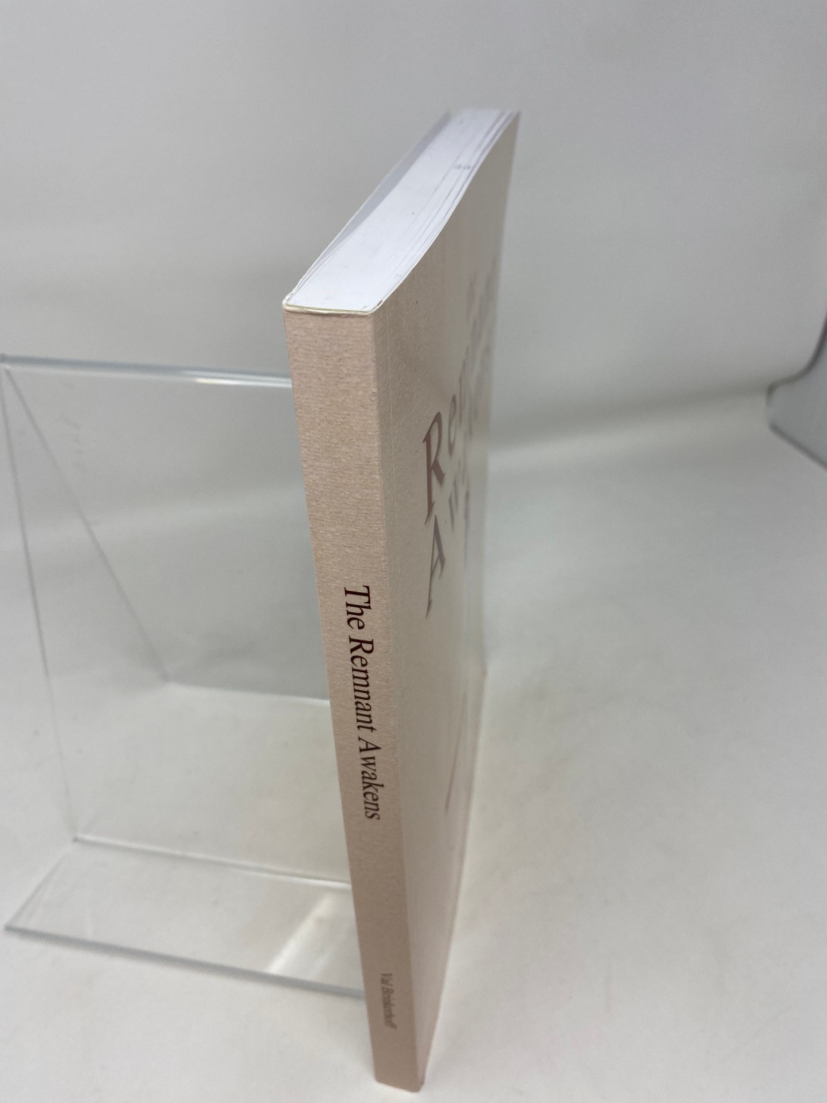 The Remnant Awakens By Val Brinkerhoff ISBN 978-1729-54519-5 -PAGES UPSIDE DOWN