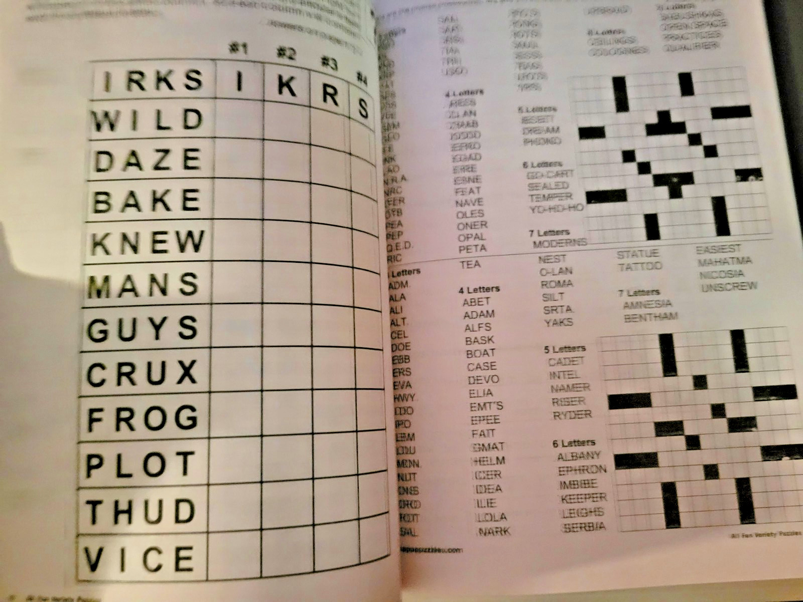 All Fun Variety Puzzles by Kappa – Over 250 Easy-To-Read Favorites To Solve -NEW