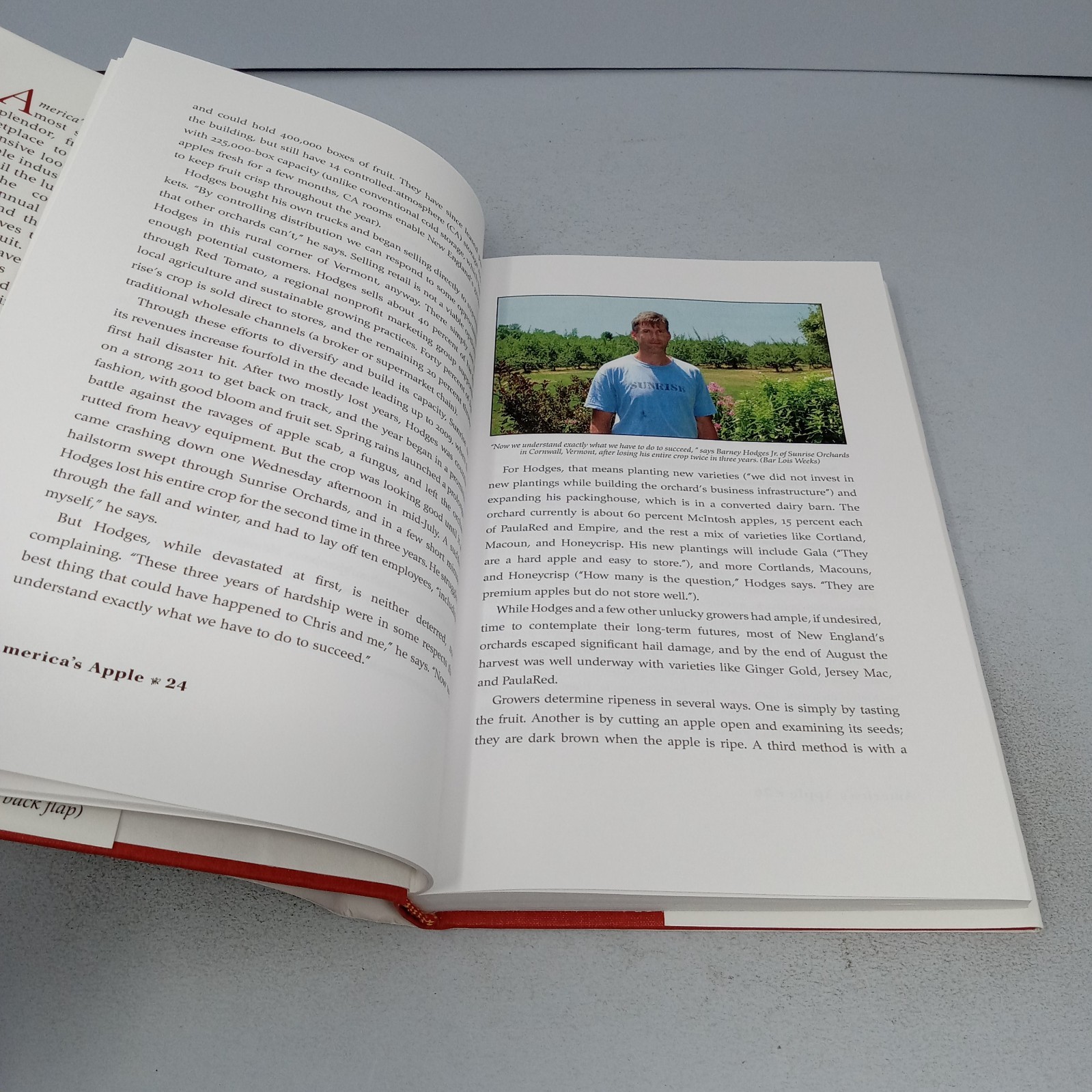 America’s Apple: 2012 Brook Hollow Press Hardcover by Russell Steven Powell