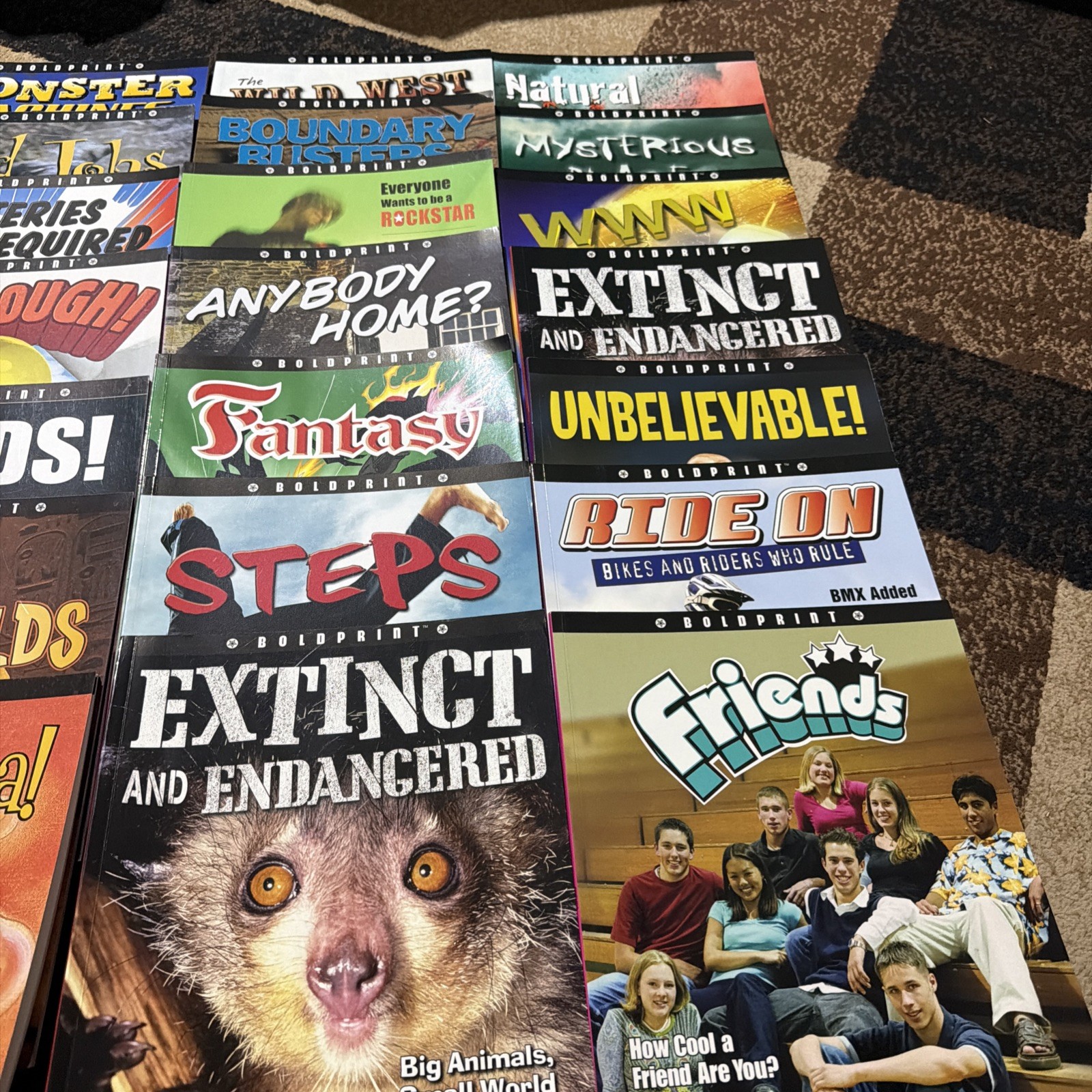 Lot of 21 Boldprint Steck Vaughn Books For Kids