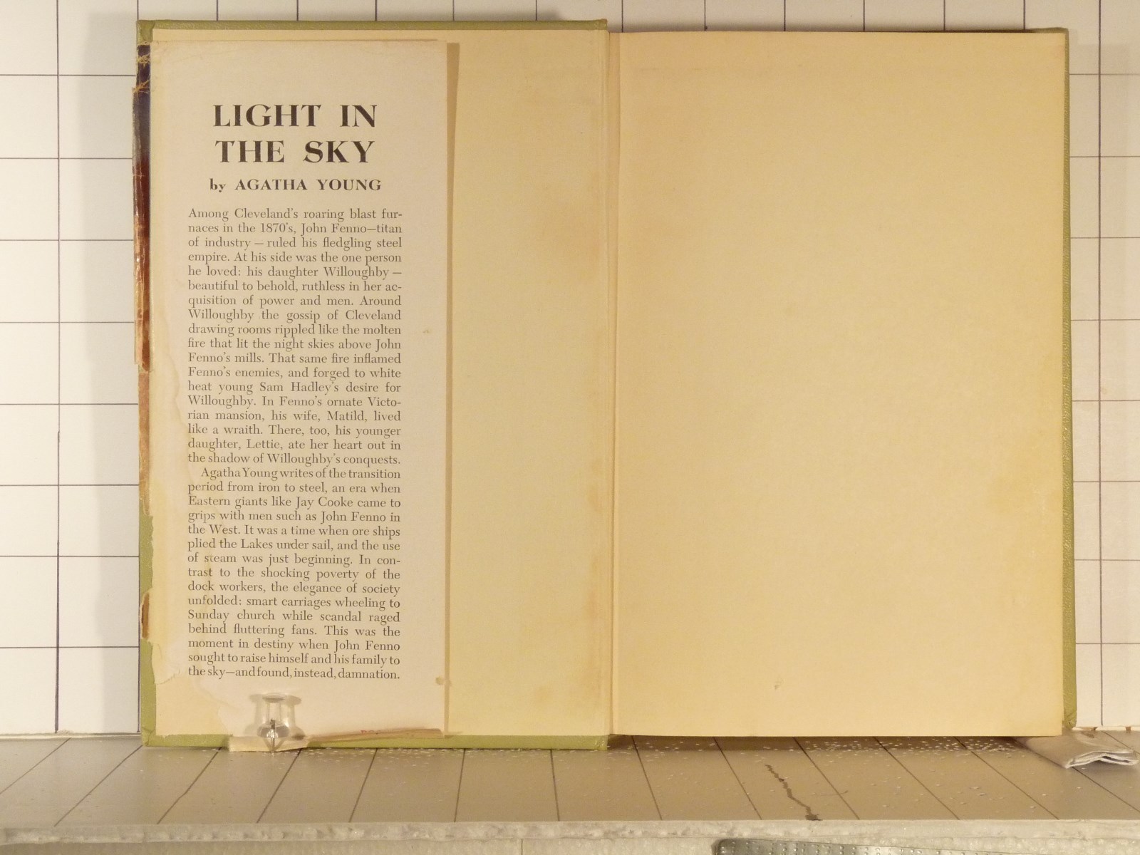 LIGHT IN THE SKY by Agatha Young 1948 Hardcover 1360