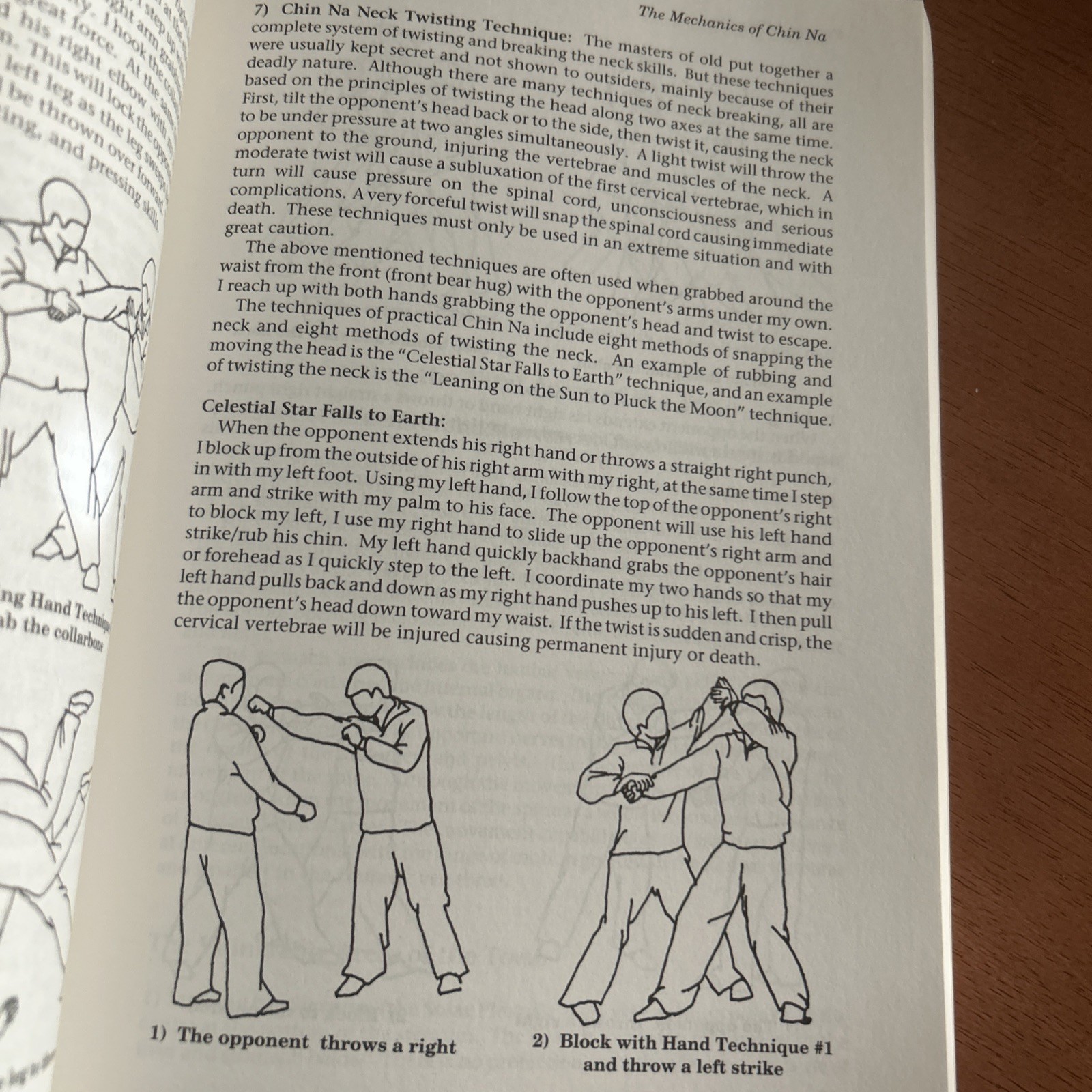 Practical Chin Na: A Detailed Analysis of the Art of Seizing and Locking LK NEW