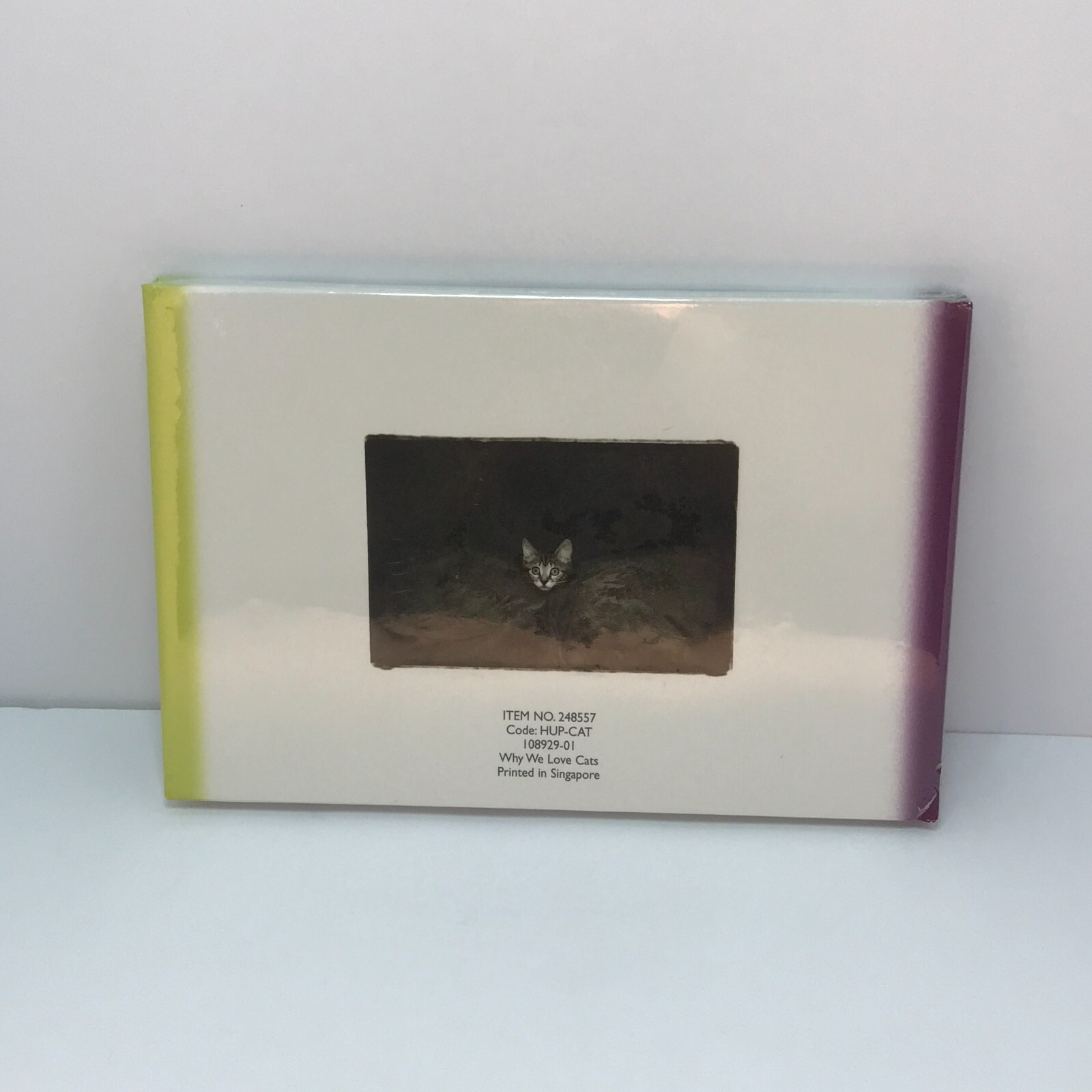 Why We Love Cats by Kim Levin. Kitty, Pets at Play, Best Friend Furry and Fluffy
