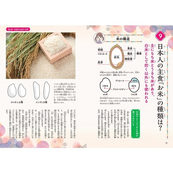 Japanese Food Culture Book 2024 No.1 Japanese Cuisine UNESCO Japan