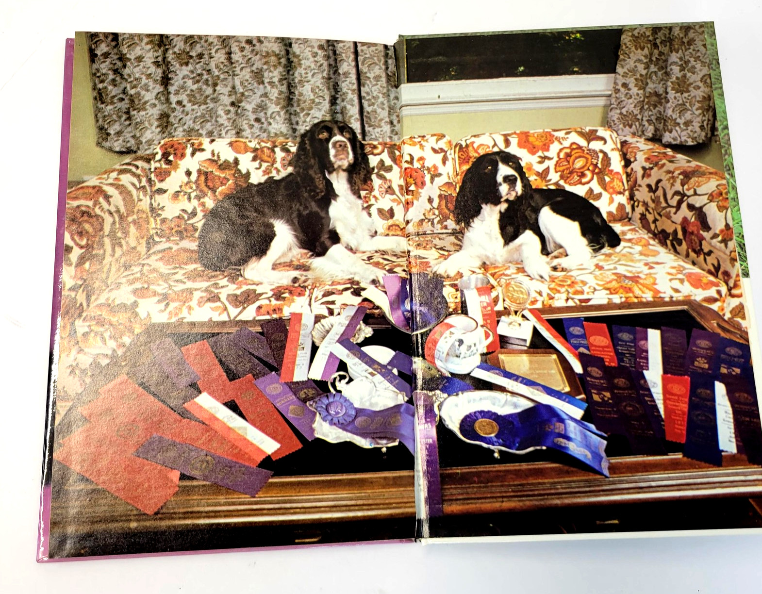 Vintage English Springer Spaniels Diane McCarty T.F.H. Purple HC Dog Care 1983