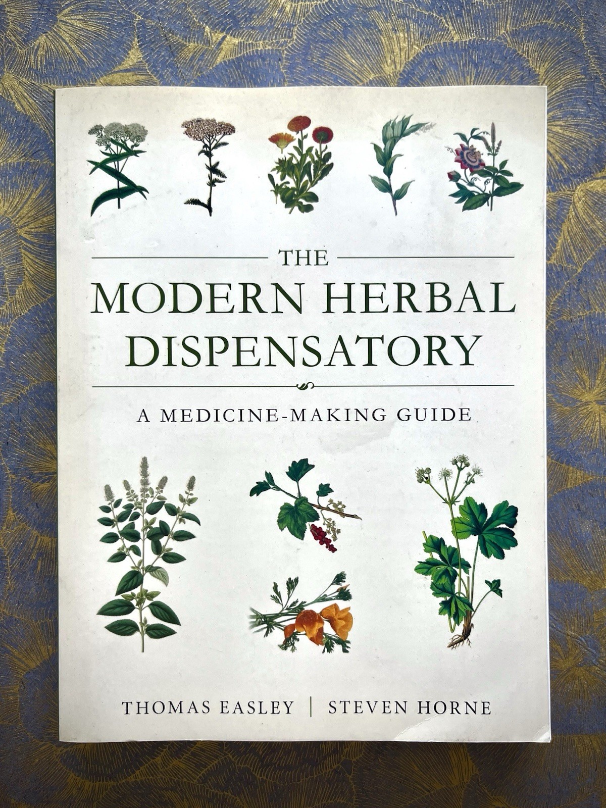 THE MODERN HERBAL DISPENSATORY A MEDICINE MAKING GUIDE EASLEY/HORNE BOTANICAL PB