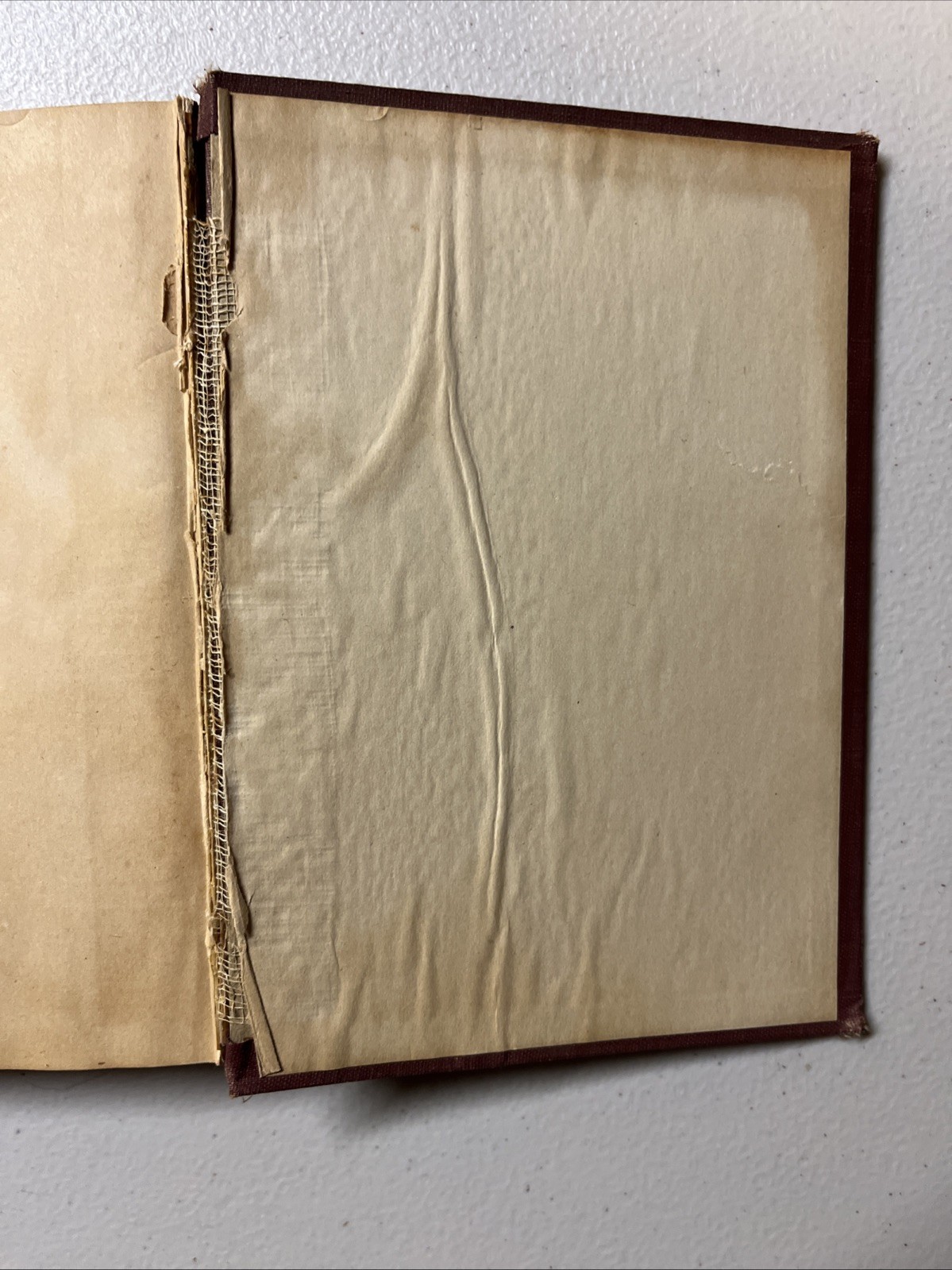 Mrs Joe’s Housekeeping Guide: First Aids for Every Known Household Use, 1909 HC