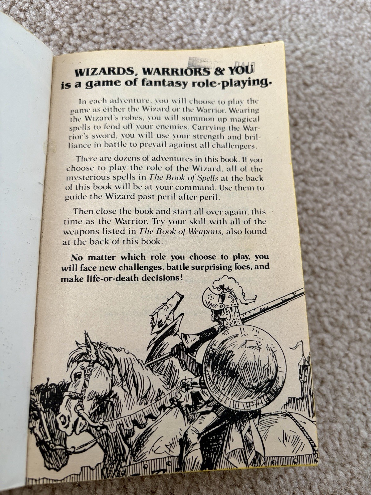 Wizards Warriors & You Book #17 Conquest Of The Barbarians Roleplaying Avon