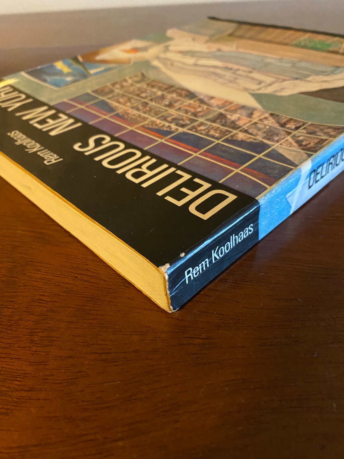 Delirious New York by Rem Koolhaas, first edition paperback, very good condition