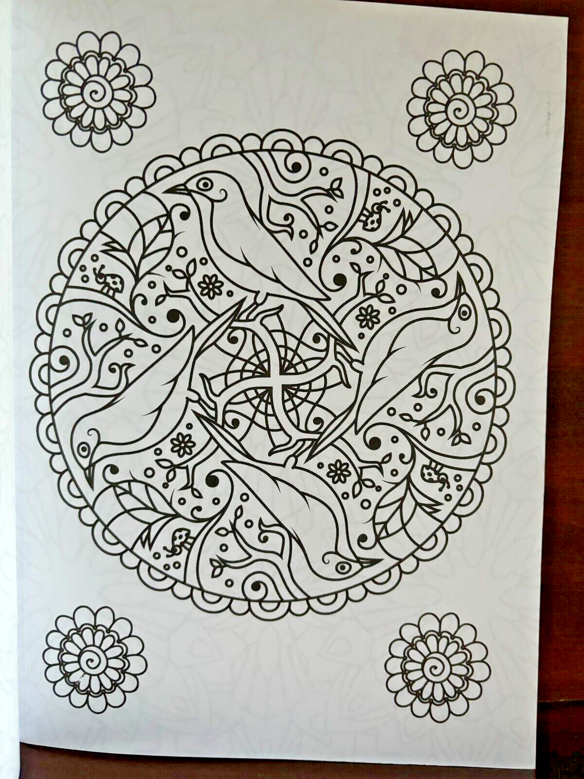 Adult Coloring Books Lot 4 Unused Nature Flowers Mandalas Stained Glass Karmin