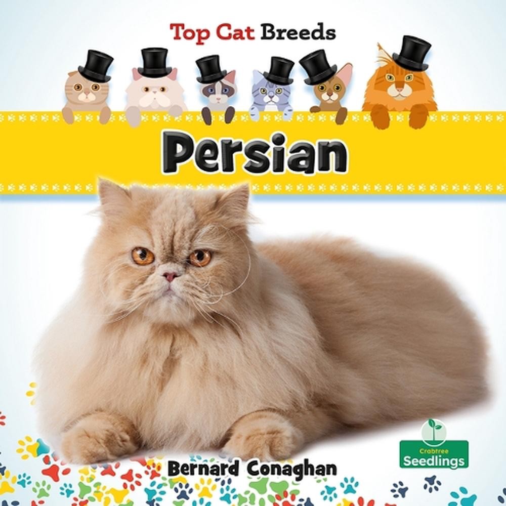 Persian by Bernard Conaghan Hardcover Book