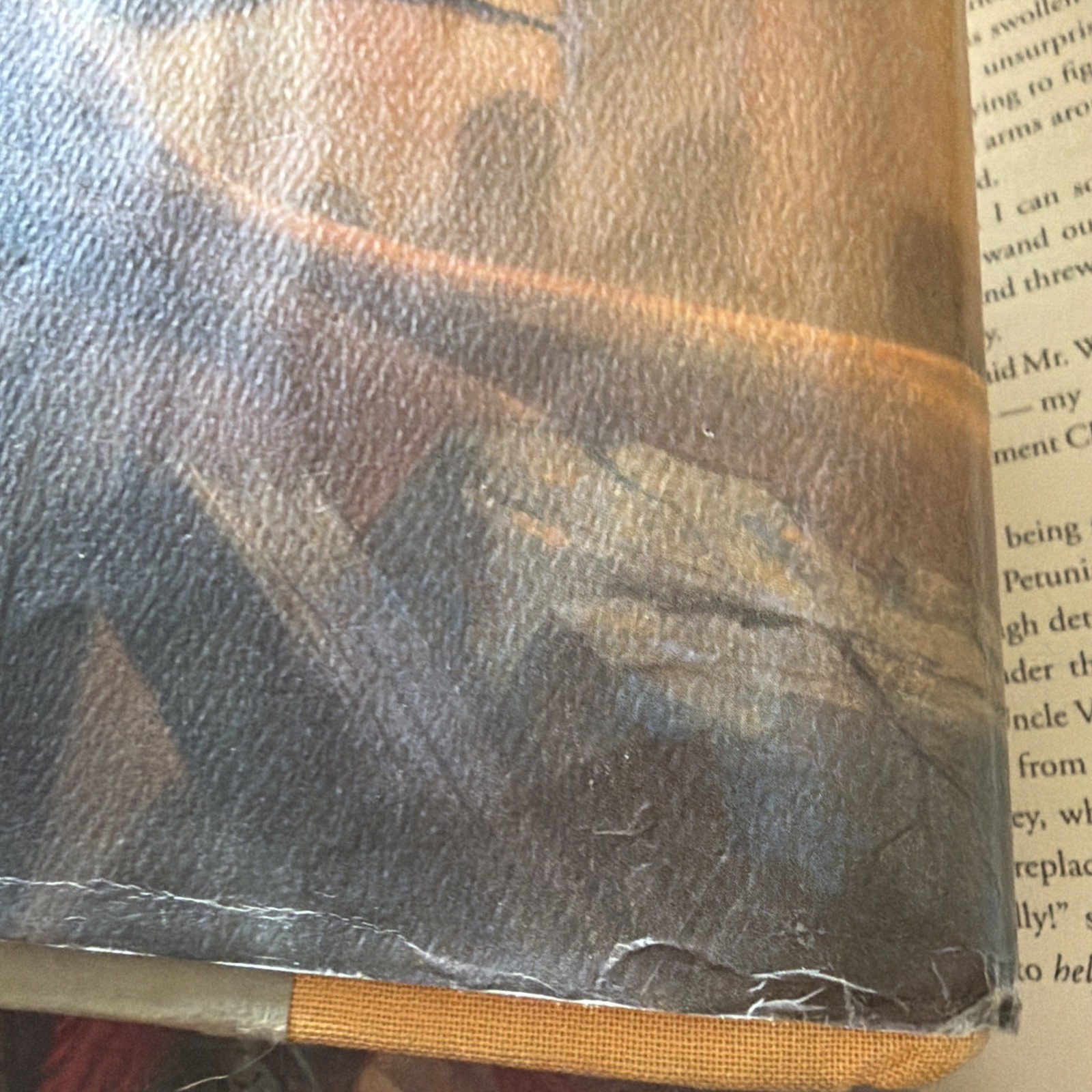 Harry Potter and the Deathly Hallows J.K. Rowling 1 of 1 ‘07 RARE Page Error