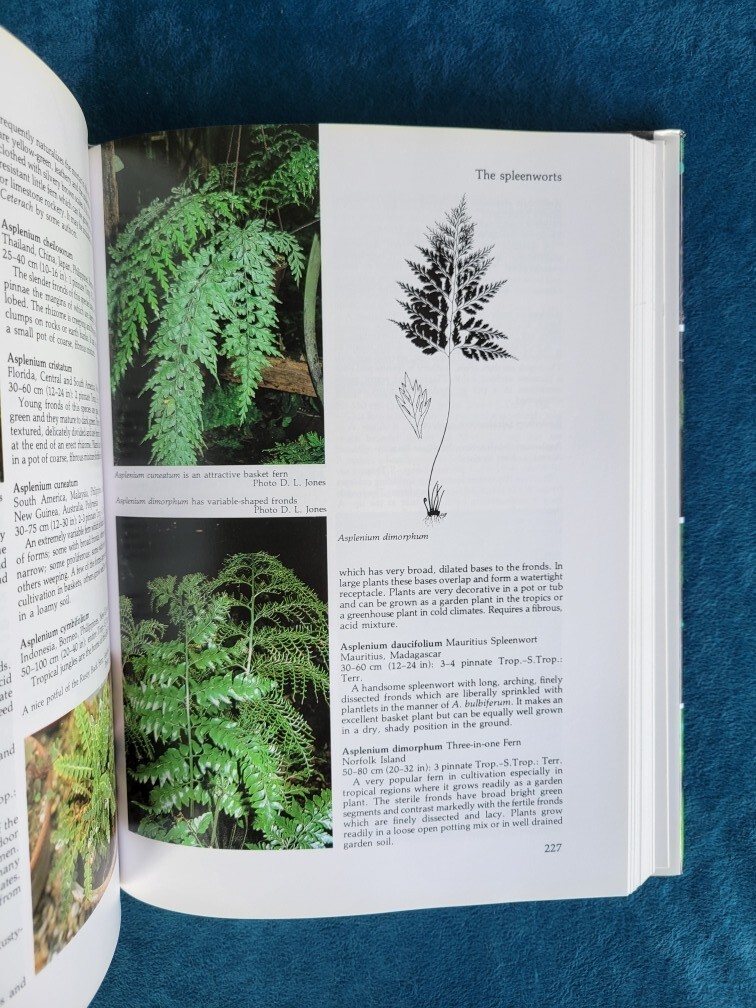 ENCYCLOPEDIA OF FERNS ; ISBN 0-88192-054-1 ; HARDCOVER ; 433 PAGES