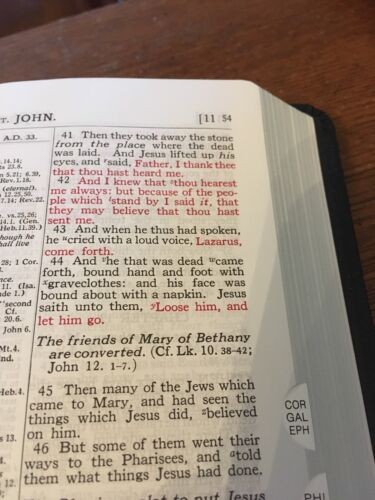 KJV Old Scofield Study Bible Navy Leather 1917 notes Red letter Thumb-Indexed
