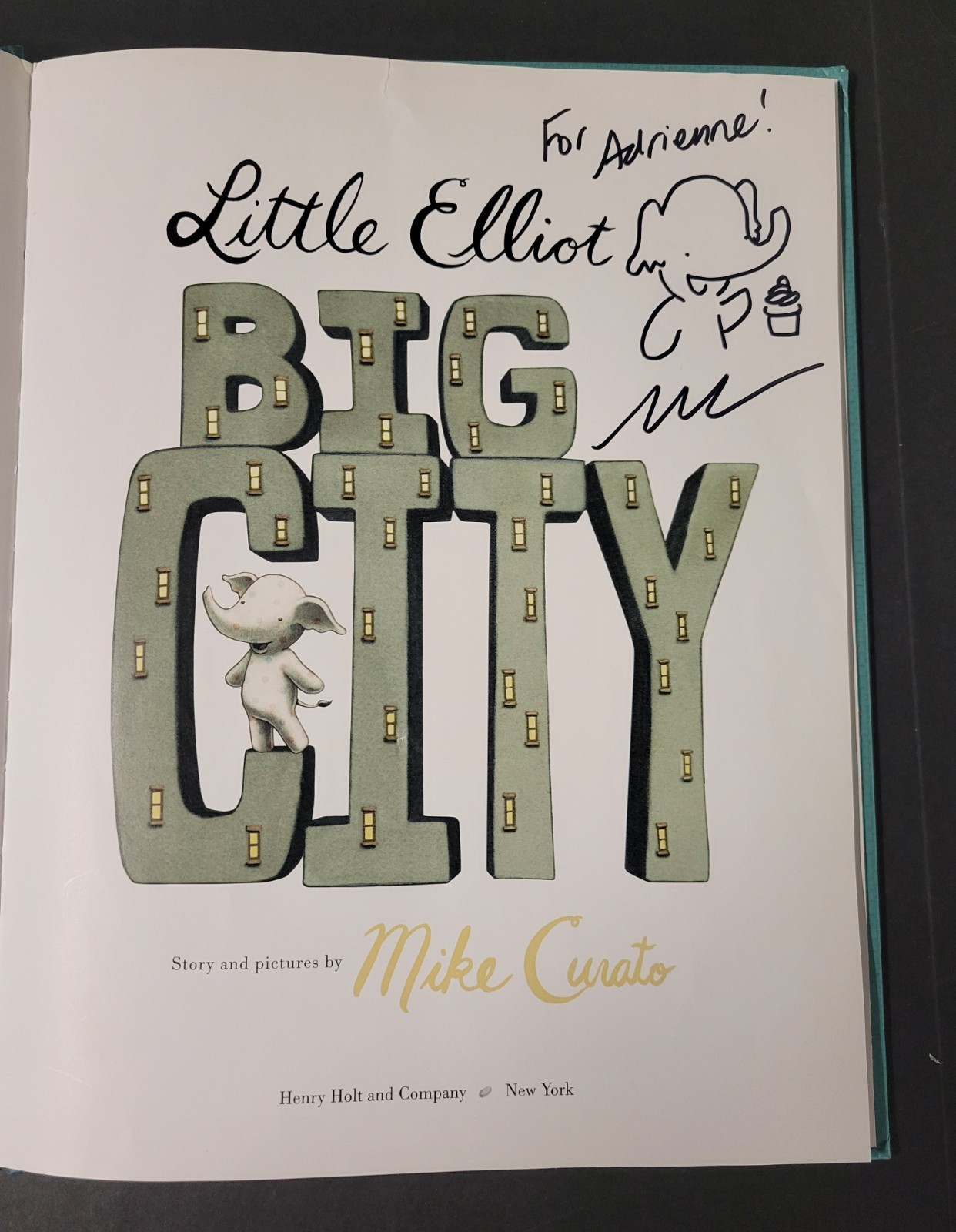 LITTLE ELLIOT BIG CITY by Mike Curato (2014, HC) GOOD